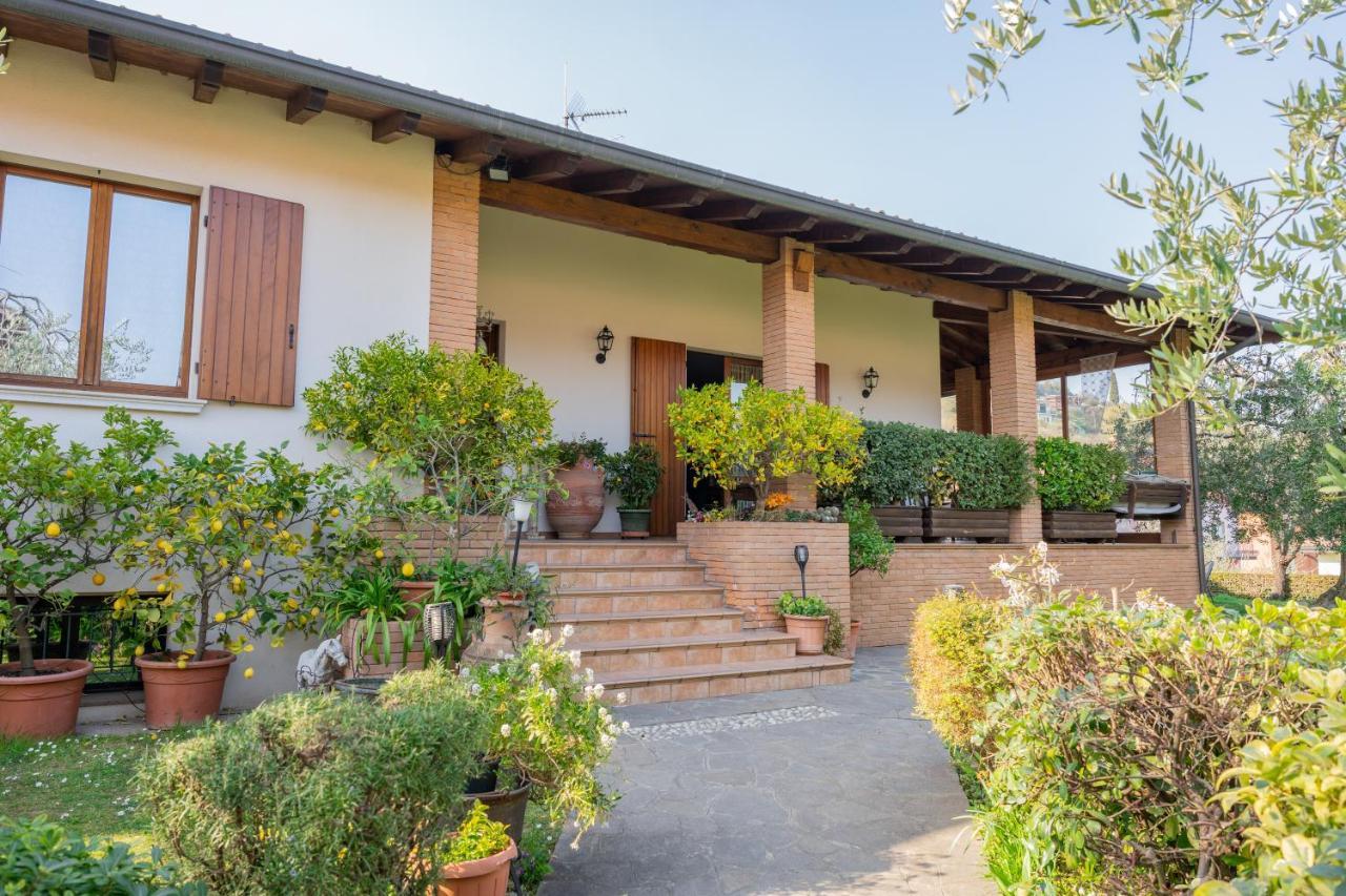Ulivi * Padenghe sul Garda
